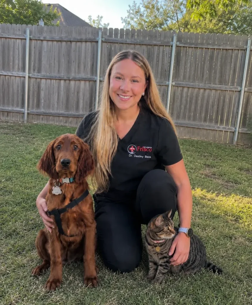 Dr.Bass veterinarian