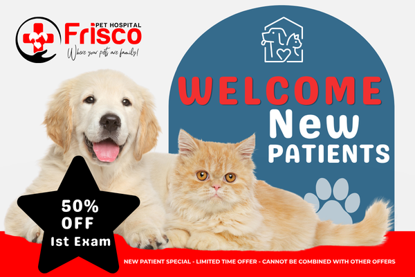 New Patient special flyer